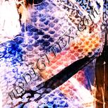 Colour:J