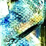 Colour:K