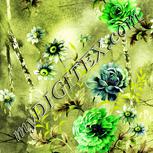 Colour:D