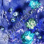 Colour:F