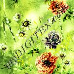 Colour:K