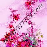 Colour:B