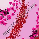 Colour:B