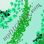 Colour:C