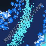 Colour:F