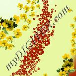 Colour:K
