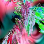 Colour:B