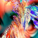 Colour:J