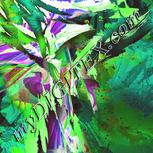 Colour:C