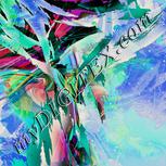 Colour:F