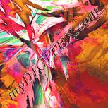 Colour:J