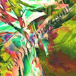 Colour:K