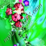 Colour:C