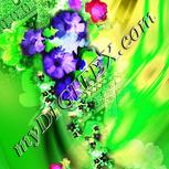 Colour:D