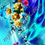 Colour:F