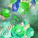 Colour:B