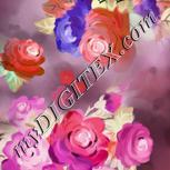 Colour:C