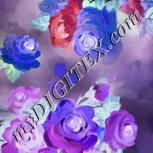 Colour:D