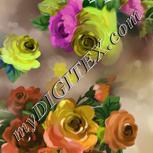 Colour:F