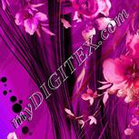 Colour:B