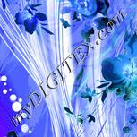 Colour:F