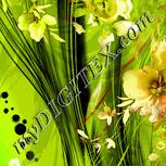 Colour:K