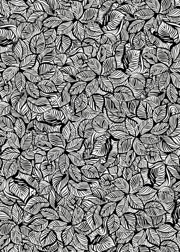 IRI0120097 copy