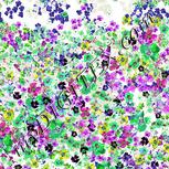 Colour:D