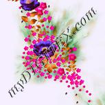 Colour:C