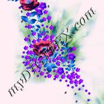 Colour:D
