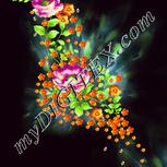 Colour:F