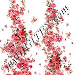 Colour:J