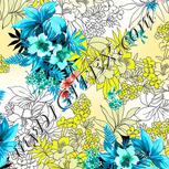Colour:B