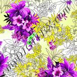 Colour:C