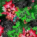 Colour:F