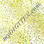 Colour:K