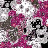 Colour:B