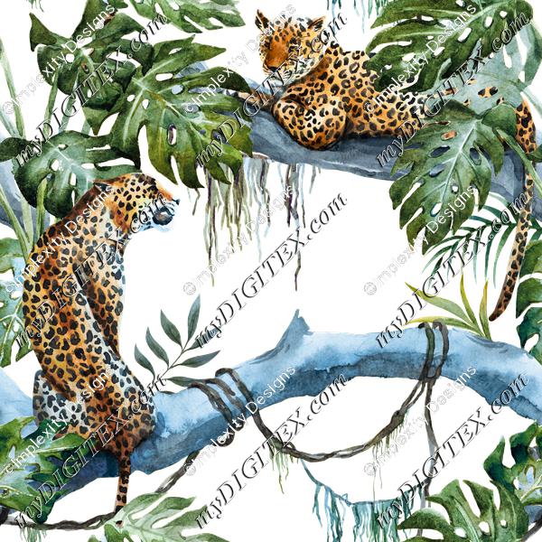 Jungle Leopards