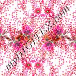 Colour:B