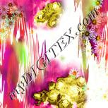 Colour:B