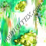 Colour:C