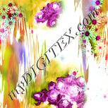 Colour:K