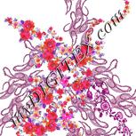 Colour:B