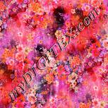 Colour:B
