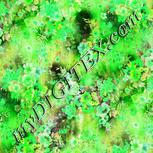 Colour:D