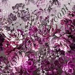 Colour:B