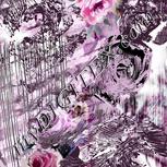 Colour:B