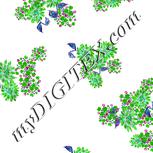 Colour:C