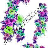 Colour:C