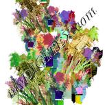 Colour:A